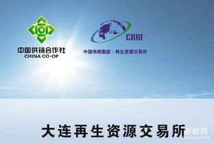 大連再生誠招代理與會員——攜手共創財富未來